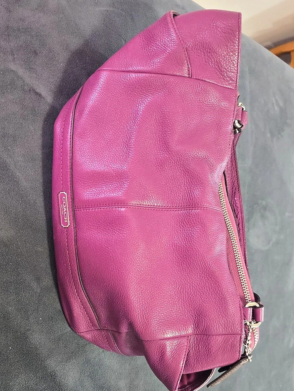 Coach Leather Hobo Bag in Purple